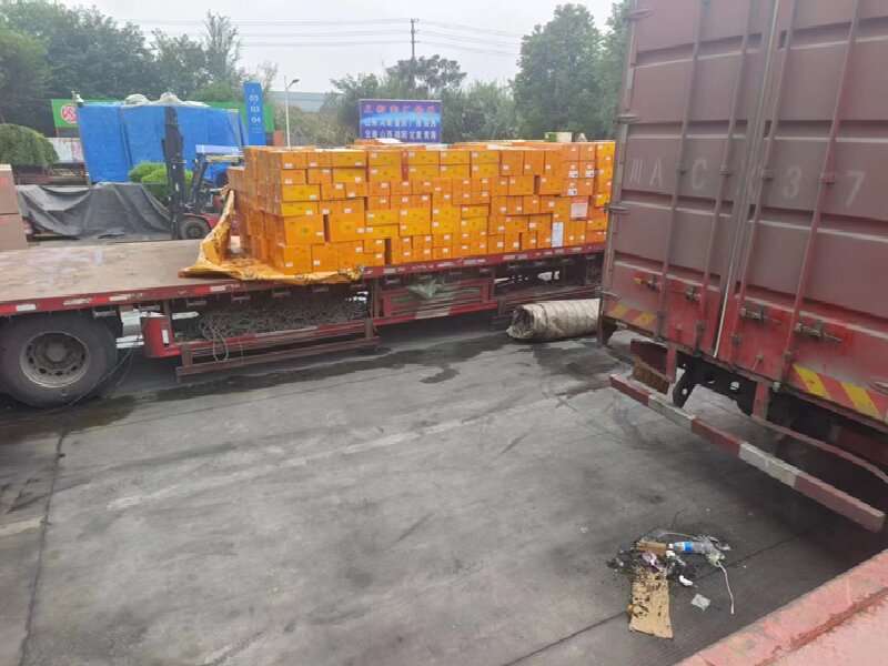深圳到甘南藏族自治州物流專線